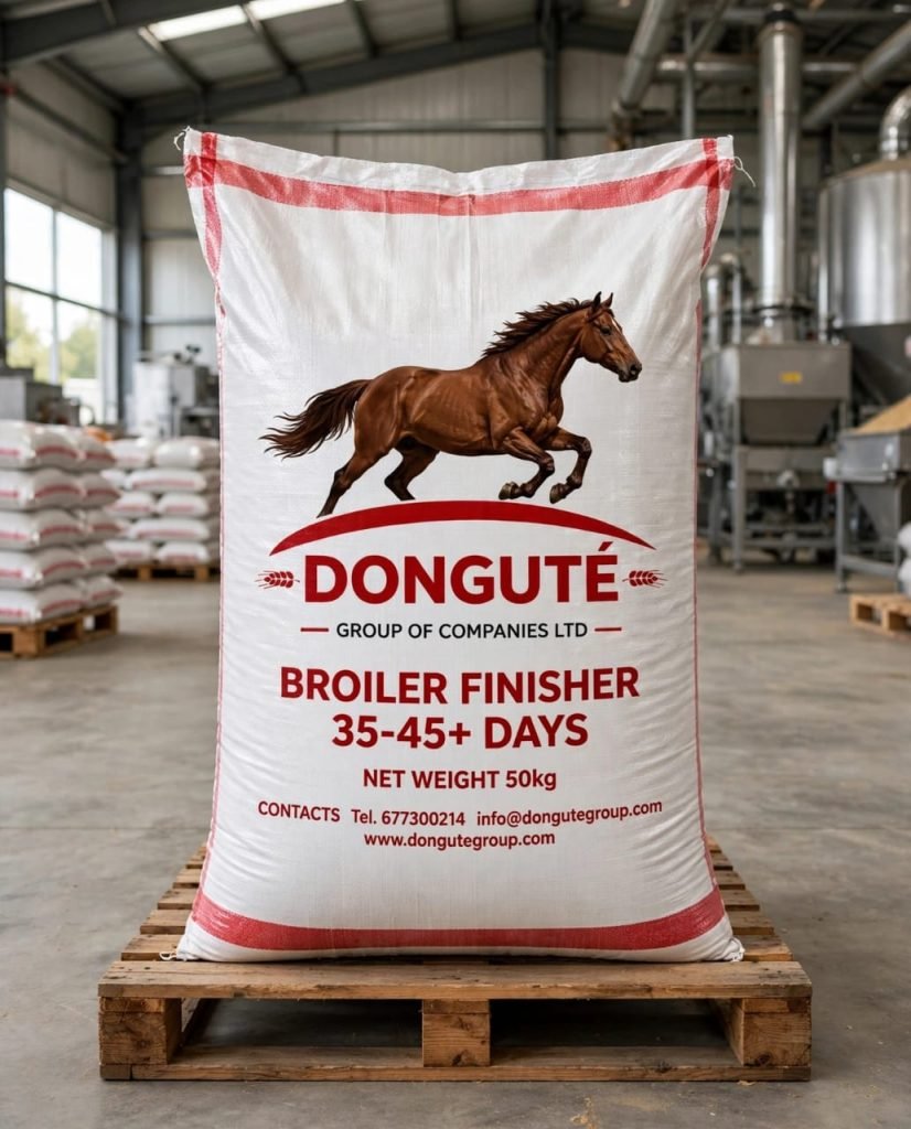 DONGUTÉ Finisher Chair 35-45+ Jours — Granulés Finisher