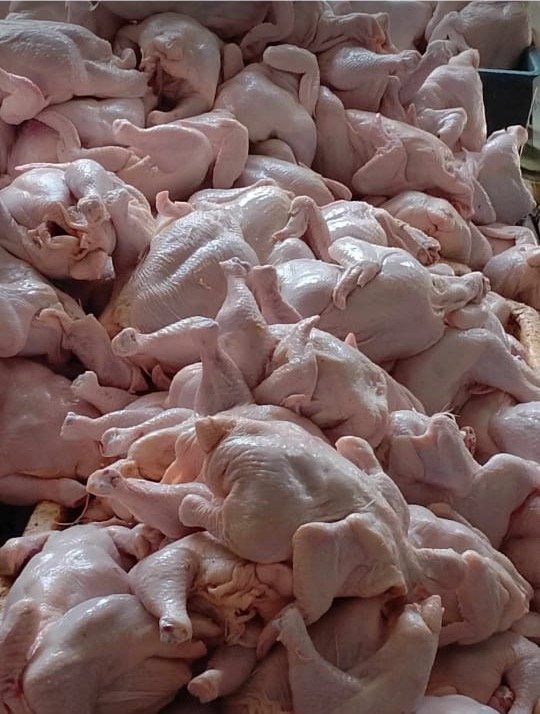 Wholesale Dressed Chickens – 50 Pcs Carton